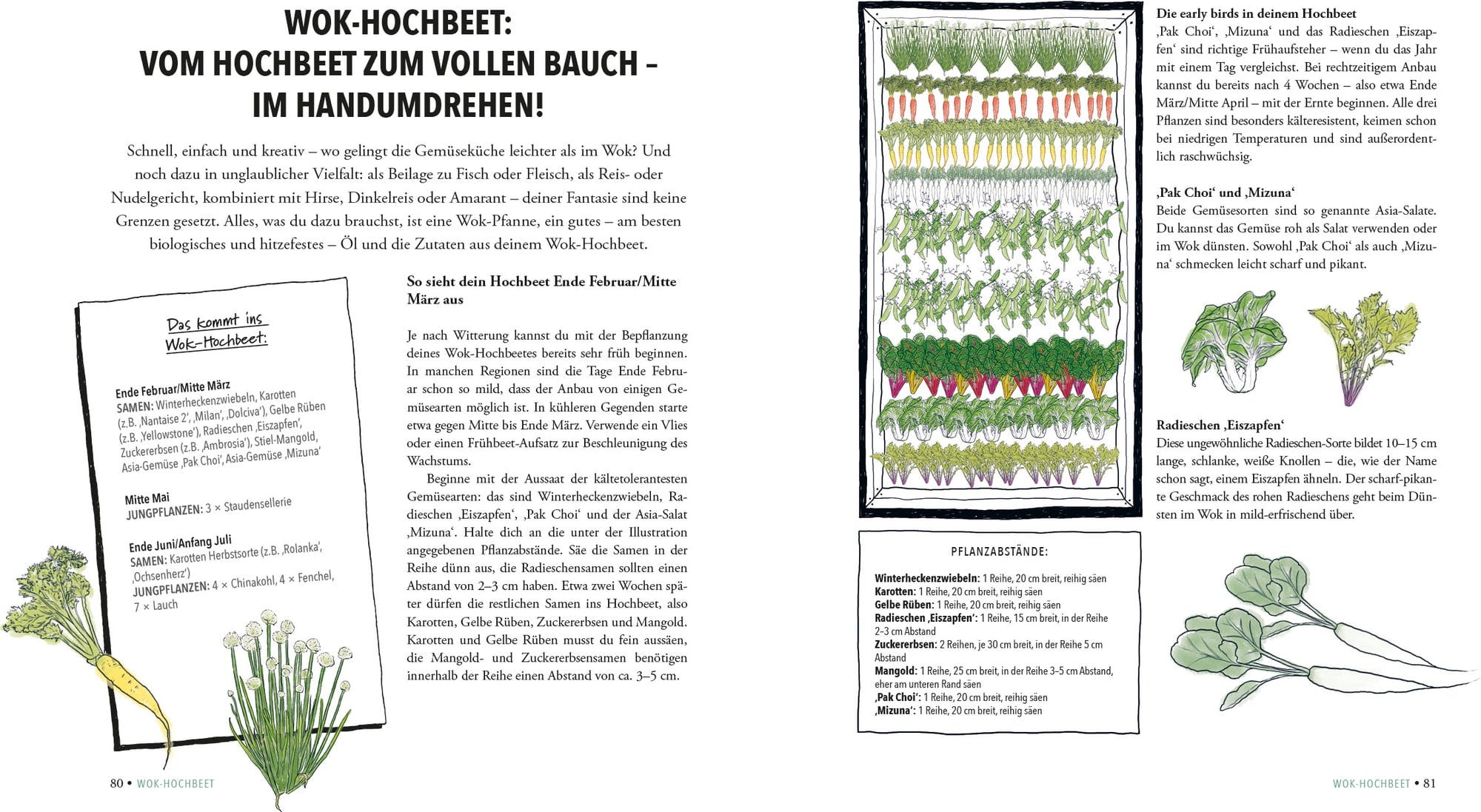  Das Unglaubliche Hochbeet