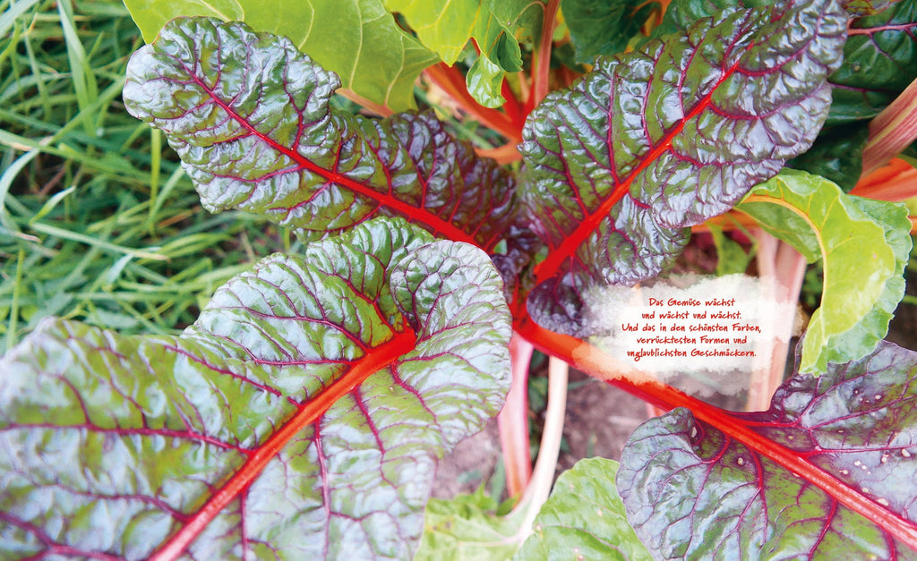  Das Unglaubliche Hochbeet