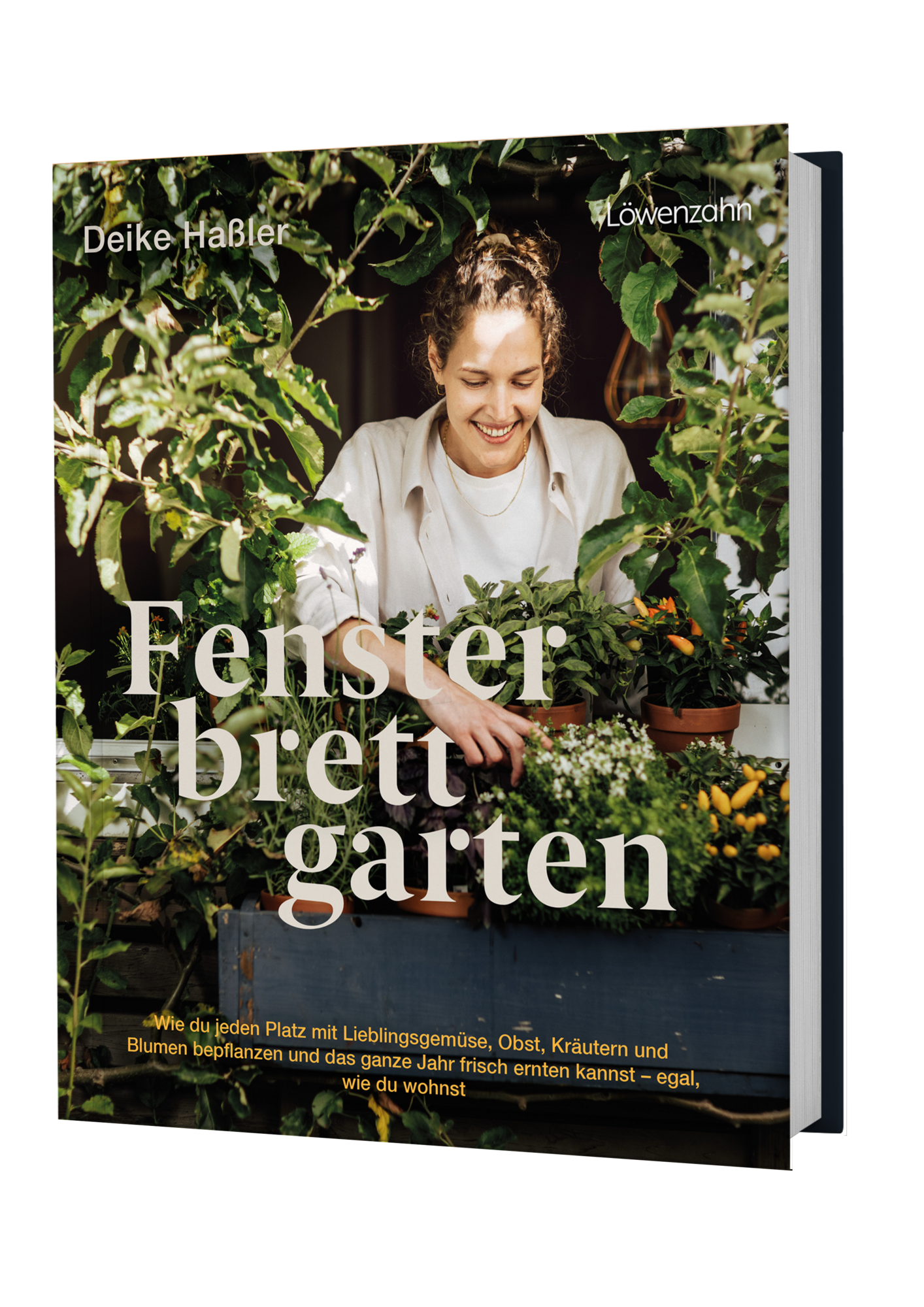  Fensterbrettgarten