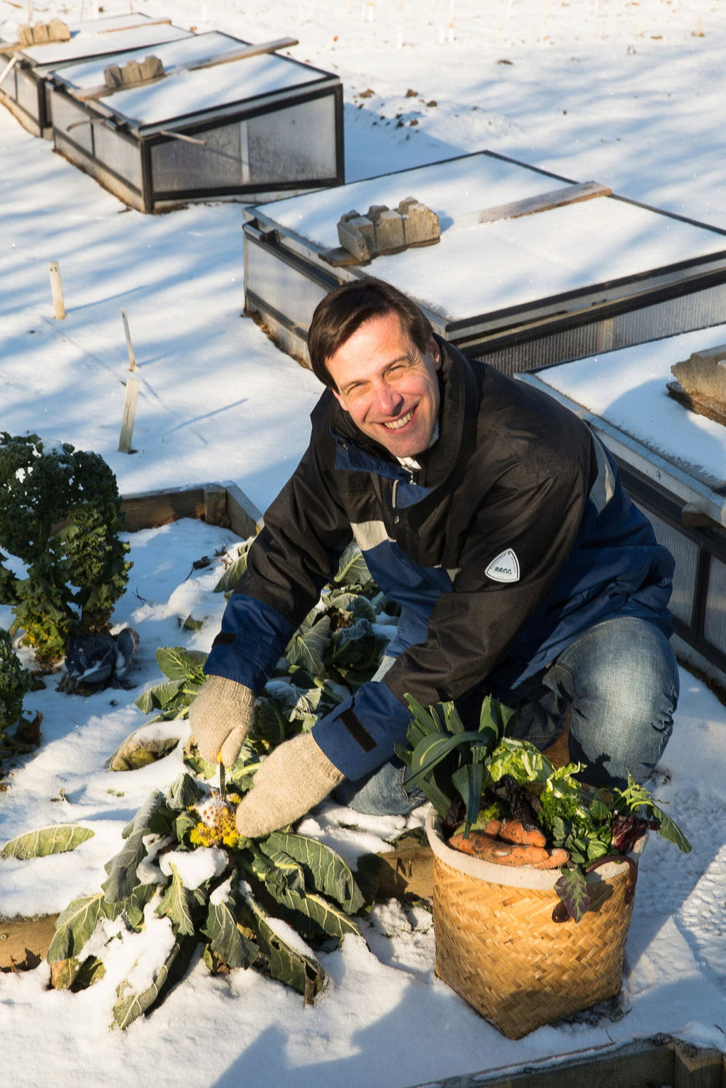  Frisches Gemüse Im Winter Ernten