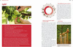  Handbuch Bio-Obst
