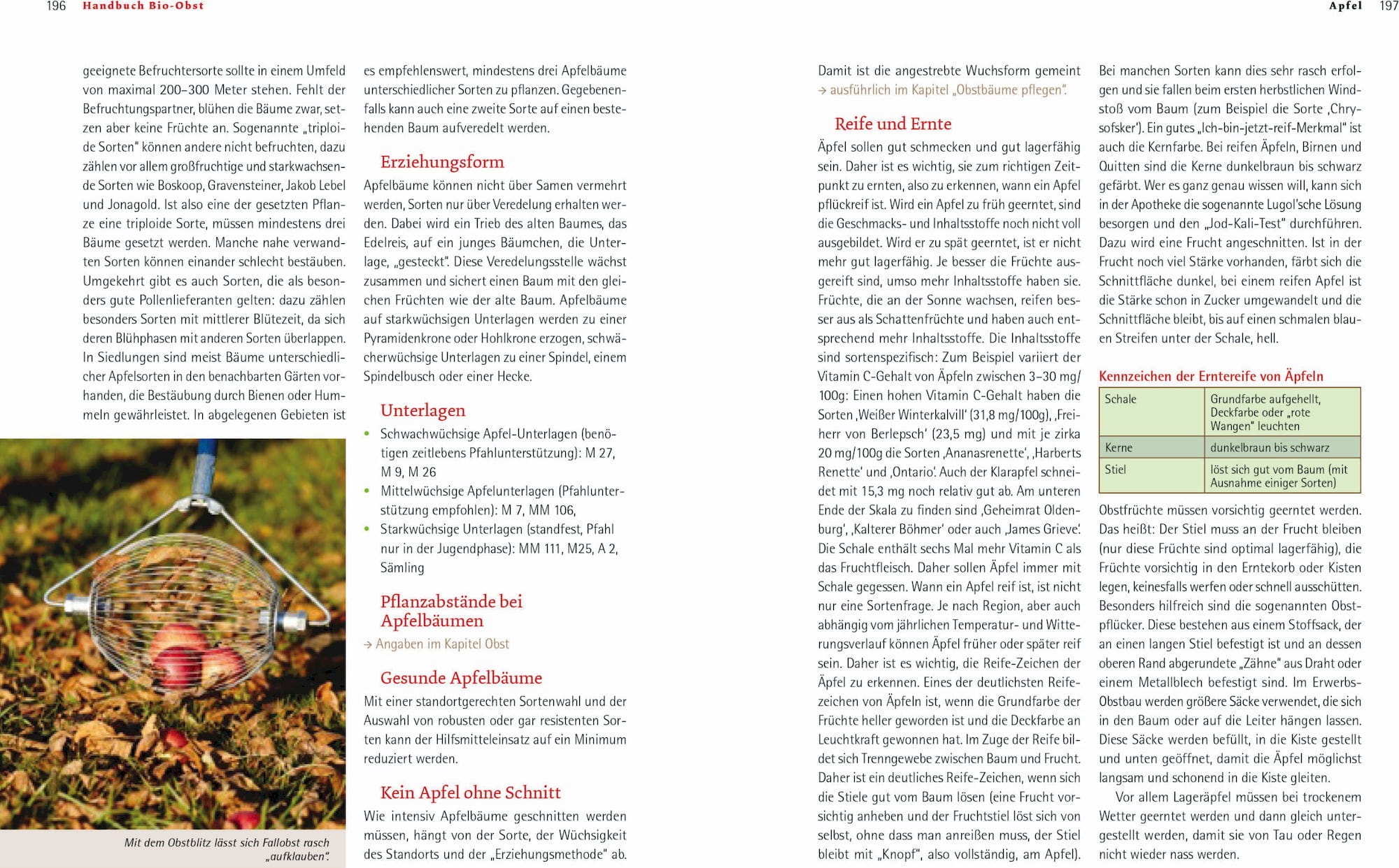  Handbuch Bio-Obst