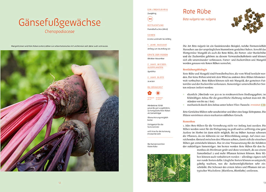  Handbuch Samengärtnerei