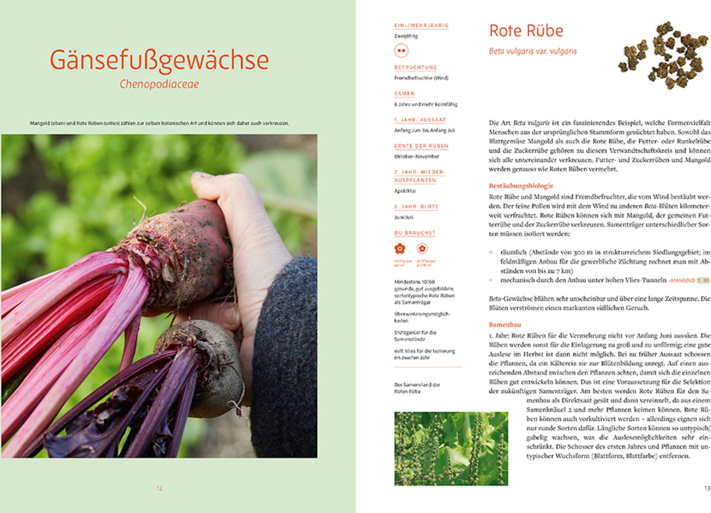  Handbuch Samengärtnerei