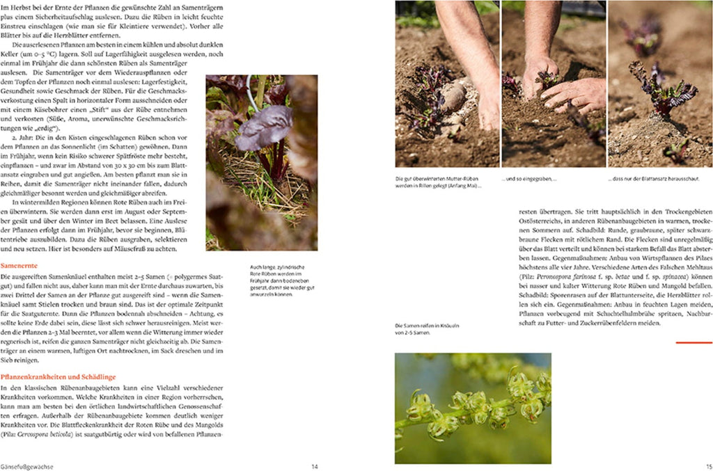  Handbuch Samengärtnerei