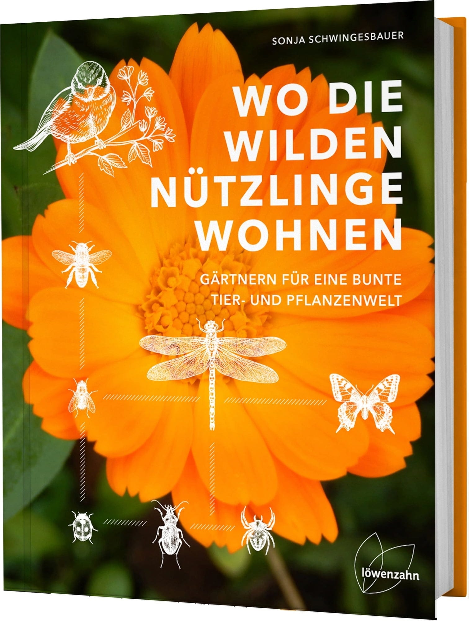 Wo Die Wilden Nützlinge Wohnen