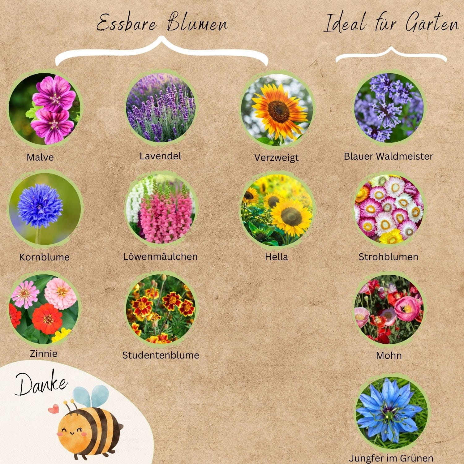  Bio Bienen Blumensamen Set