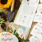  Bio Bienen Blumensamen Set