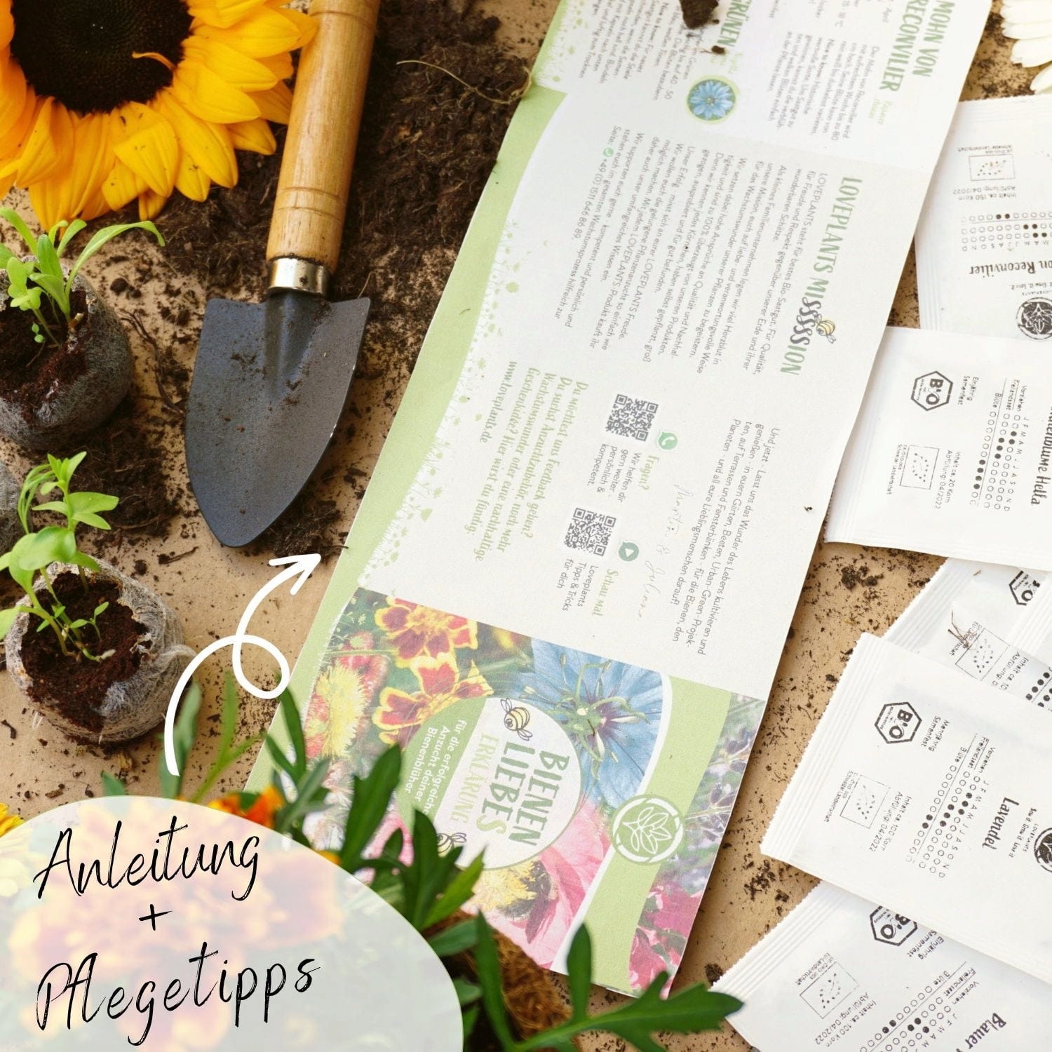  Bio Bienen Blumensamen Set