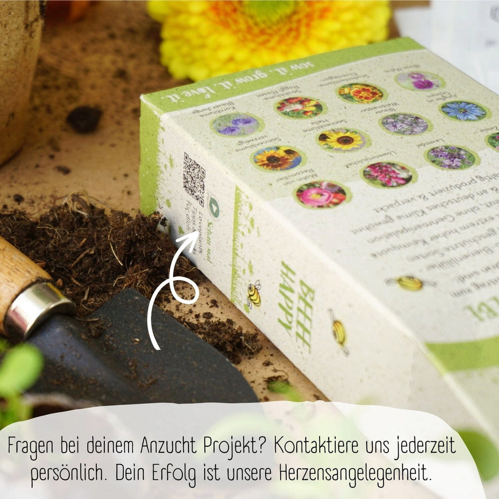  Bio Bienen Blumensamen Set