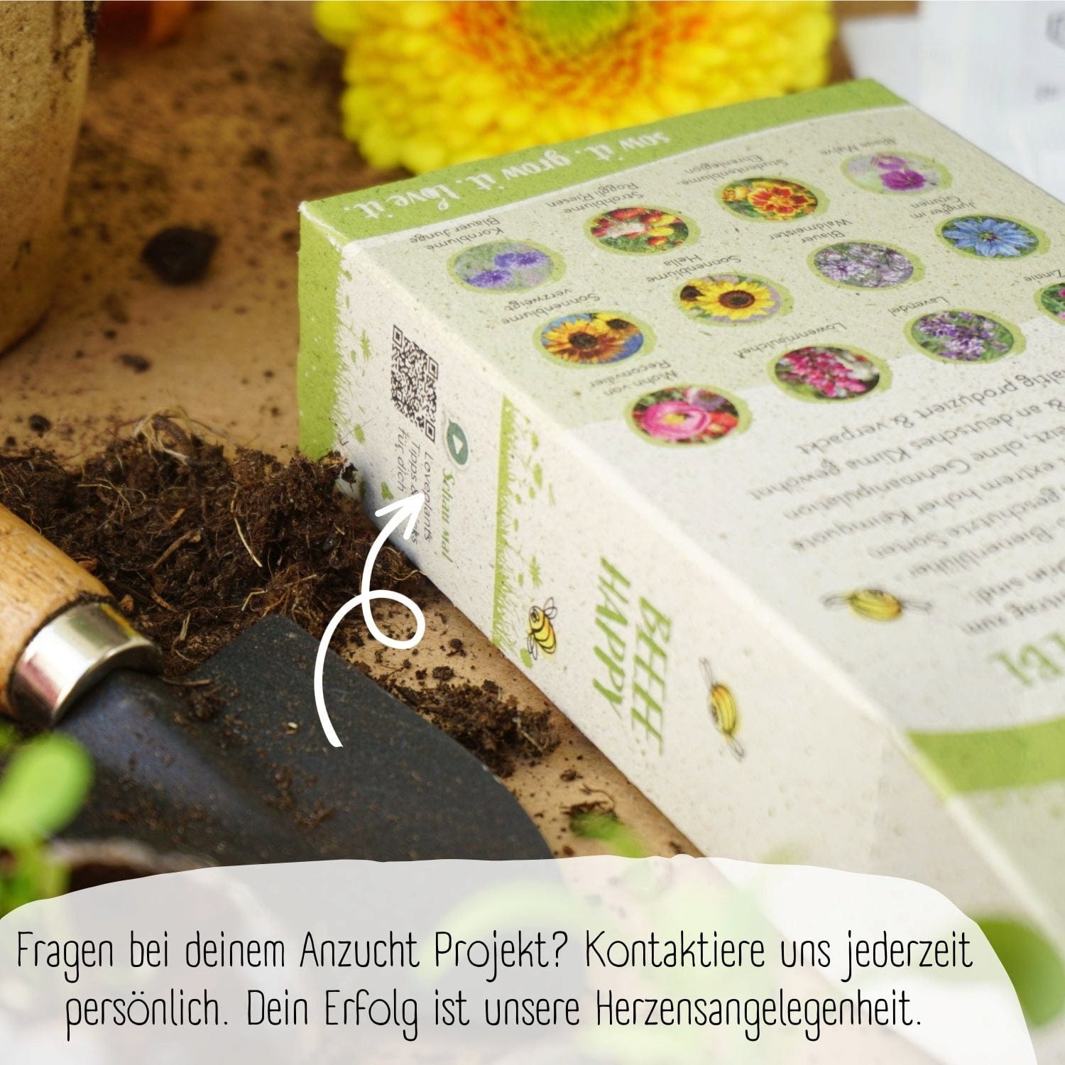  Bio Bienen Blumensamen Set