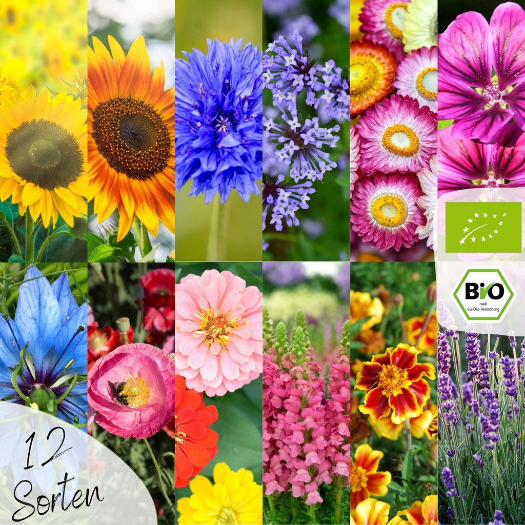  Bio Bienen Blumensamen Set