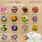  Bio Blumensamen Set