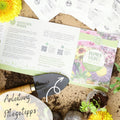  Bio Blumensamen Set