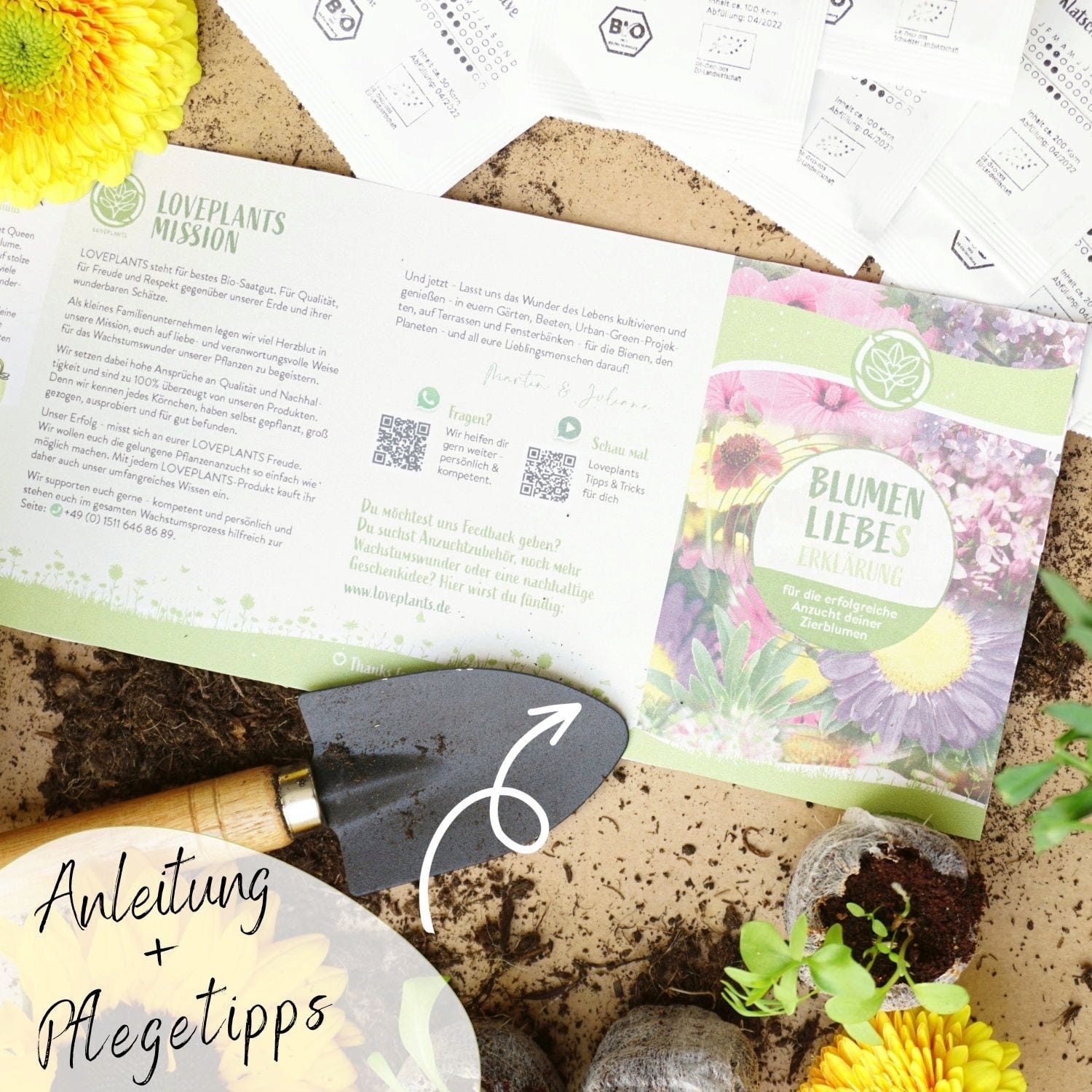  Bio Blumensamen Set