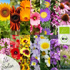  Bio Blumensamen Set