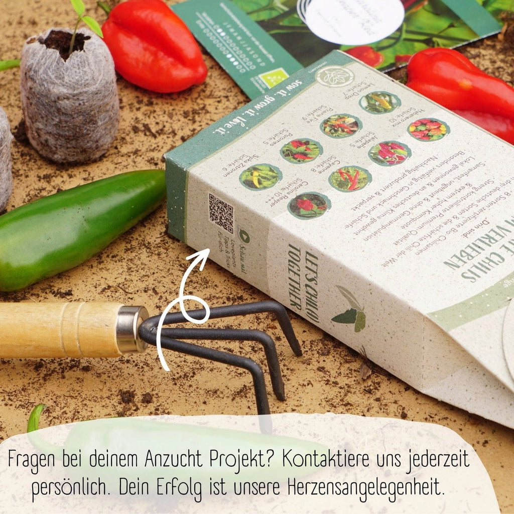  Bio Chili Samen Set