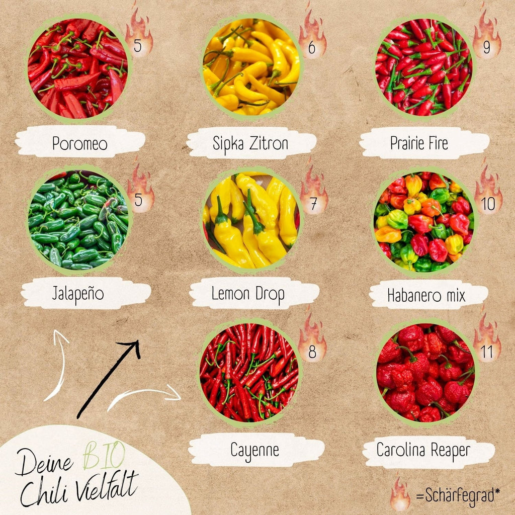  Bio Chili Samen Set