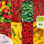  Bio Chili Samen Set