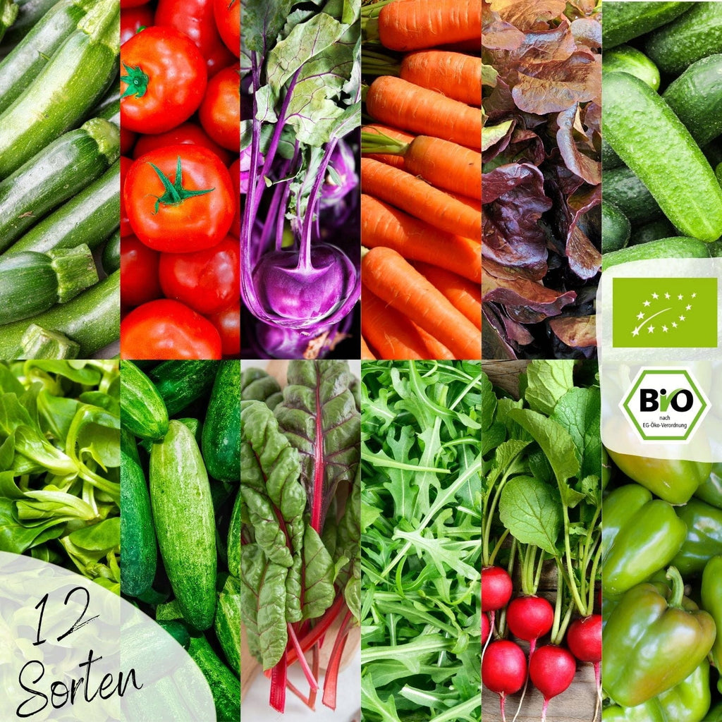  Bio Gemüsesamen Set