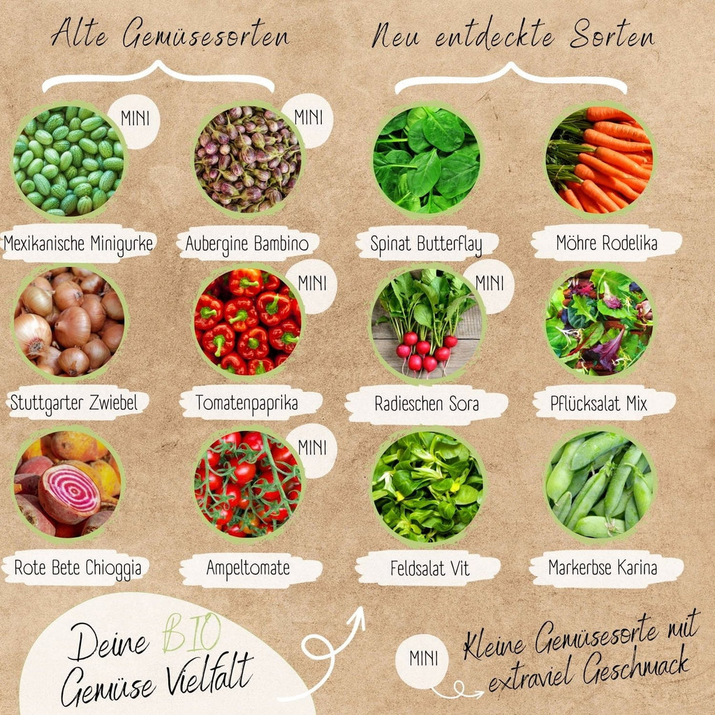  Bio Hochbeet & Balkon Gemüse Samen Set