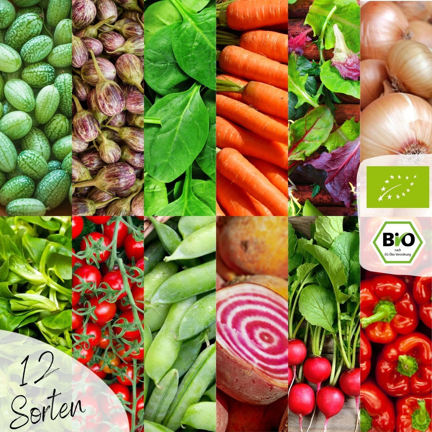  Bio Hochbeet & Balkon Gemüse Samen Set