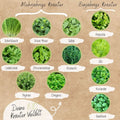  Bio Kräutersamen Set
