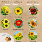  Bio Sonnenblumen Samen Set