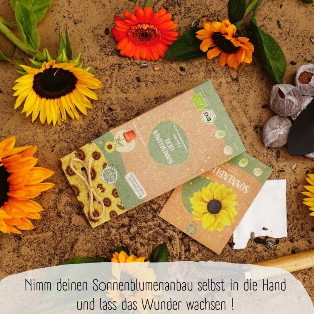 Bio Sonnenblumen Samen Set