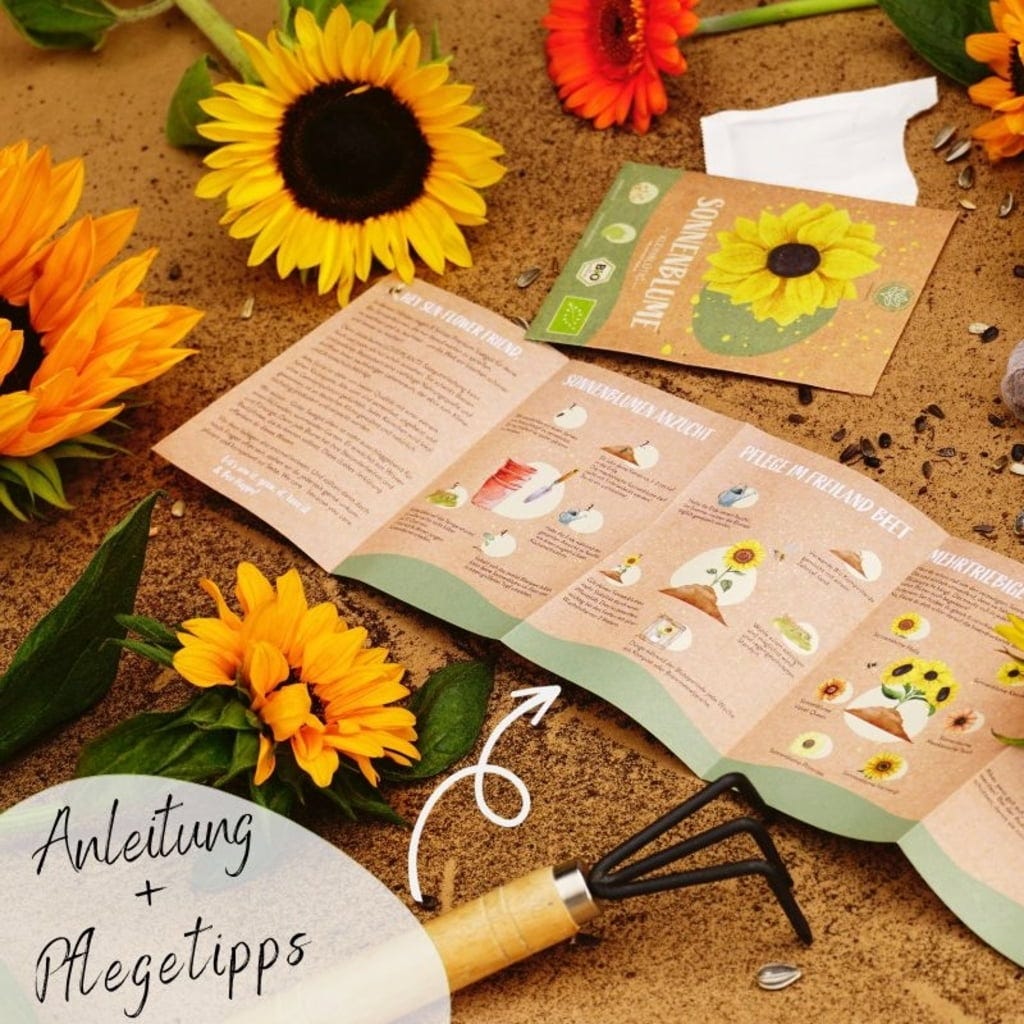  Bio Sonnenblumen Samen Set