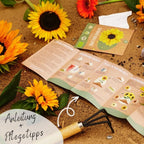  Bio Sonnenblumen Samen Set