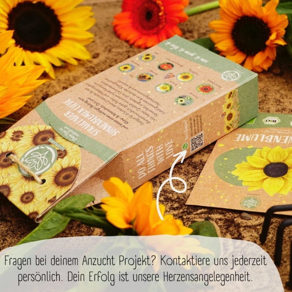  Bio Sonnenblumen Samen Set
