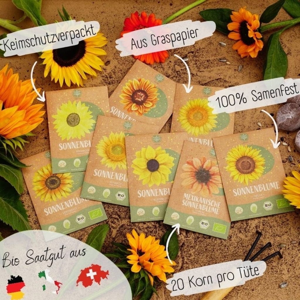  Bio Sonnenblumen Samen Set