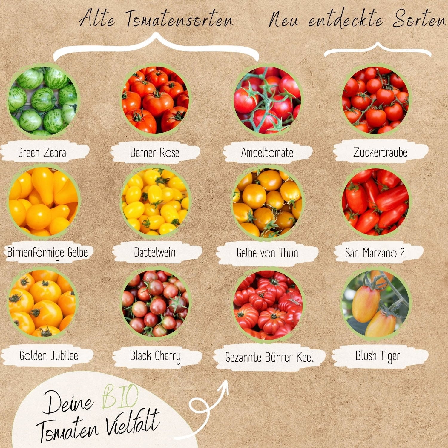  Bio Tomatensamen Set