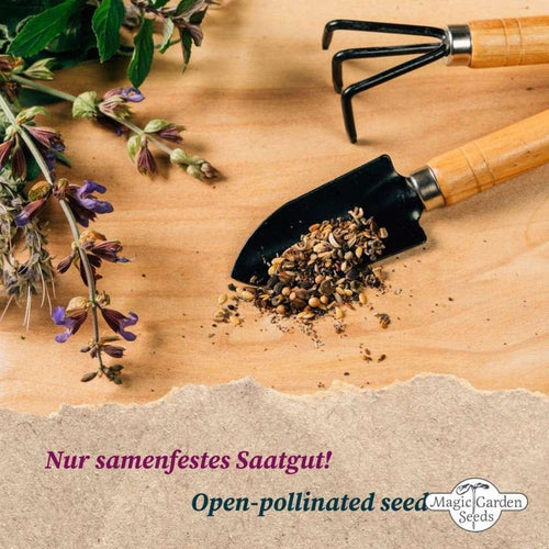  Anti-Aging Pflanzen - Samenset
