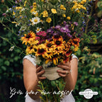  Bio Stauden & Sommerblumen - Samenset