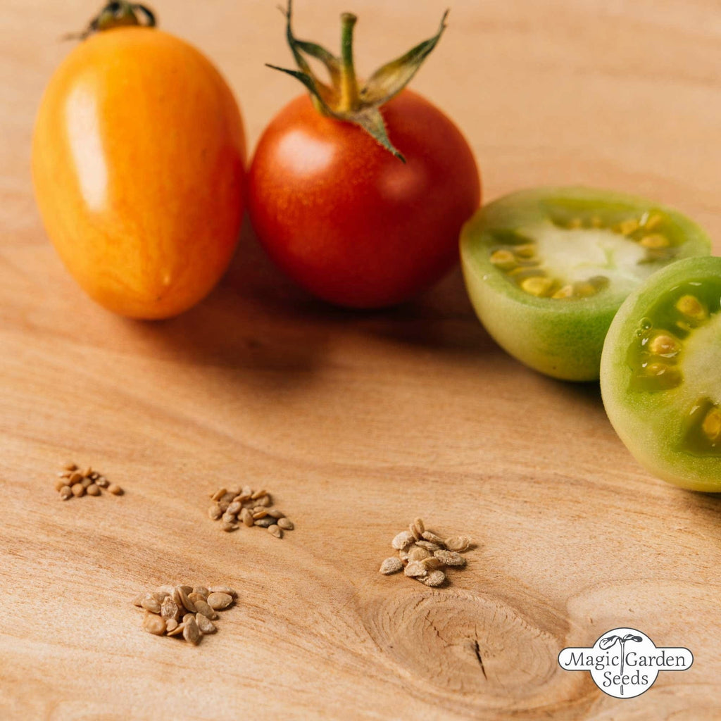  Bunte Alte Tomatensorten - Samenset
