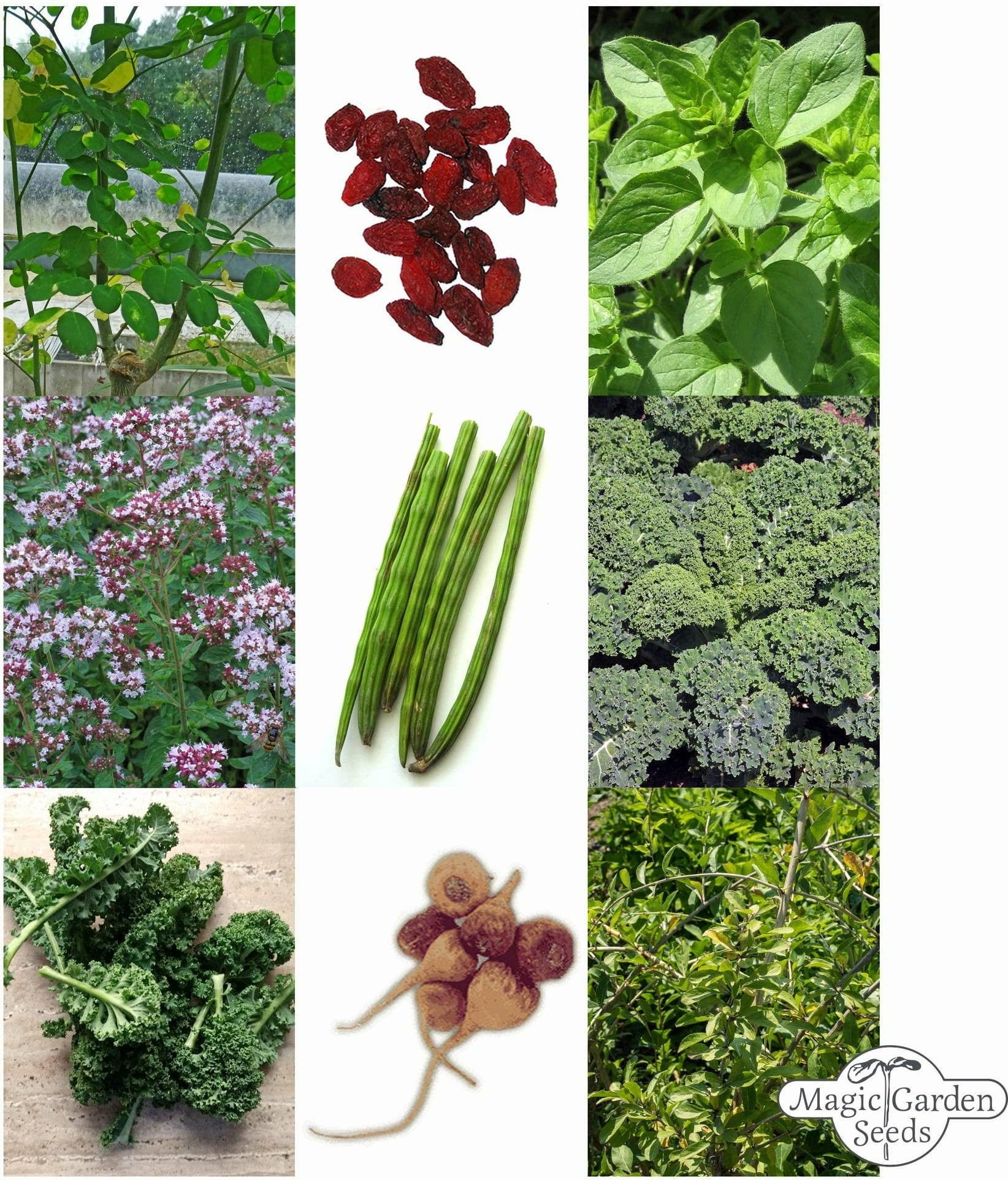  Super Foods - Samenset