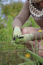  Gartenhandschuhe Grün
