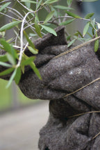  Winterschutz Wollmatte