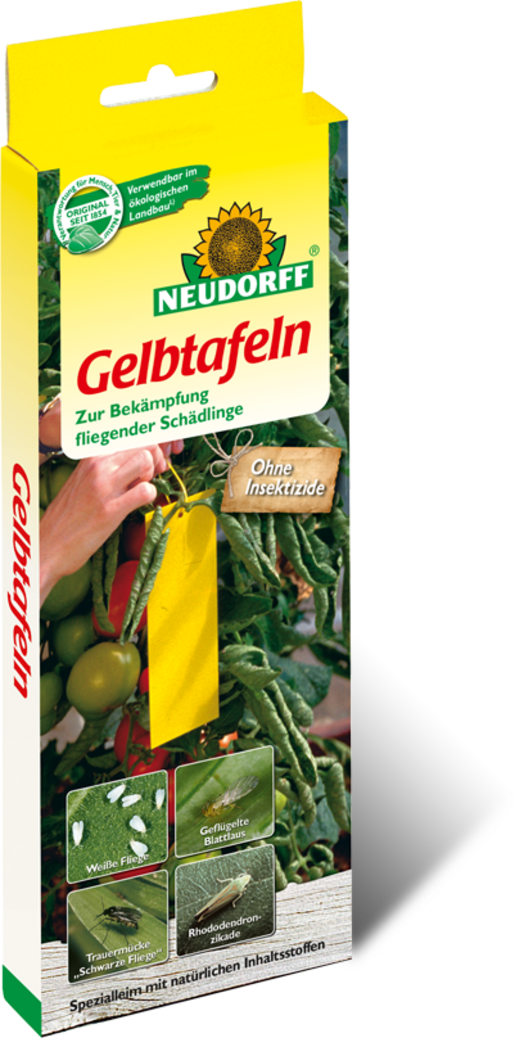  Gelbtafel Hobby, 7 Stück