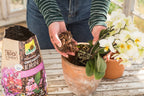  NeudoHum OrchideenErde, 3 L