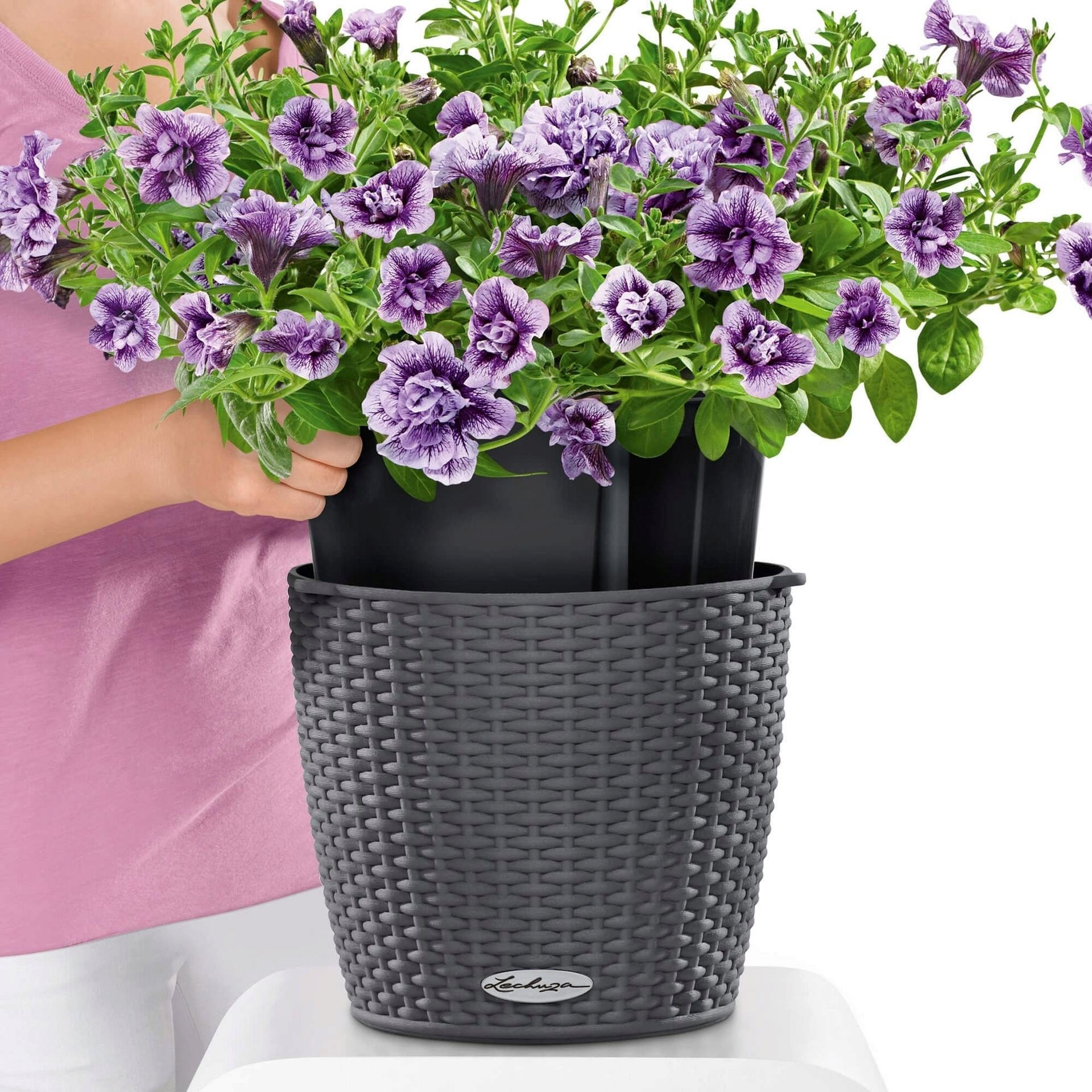 LECHUZA Blumenampel NIDO Cottage 28, Granit