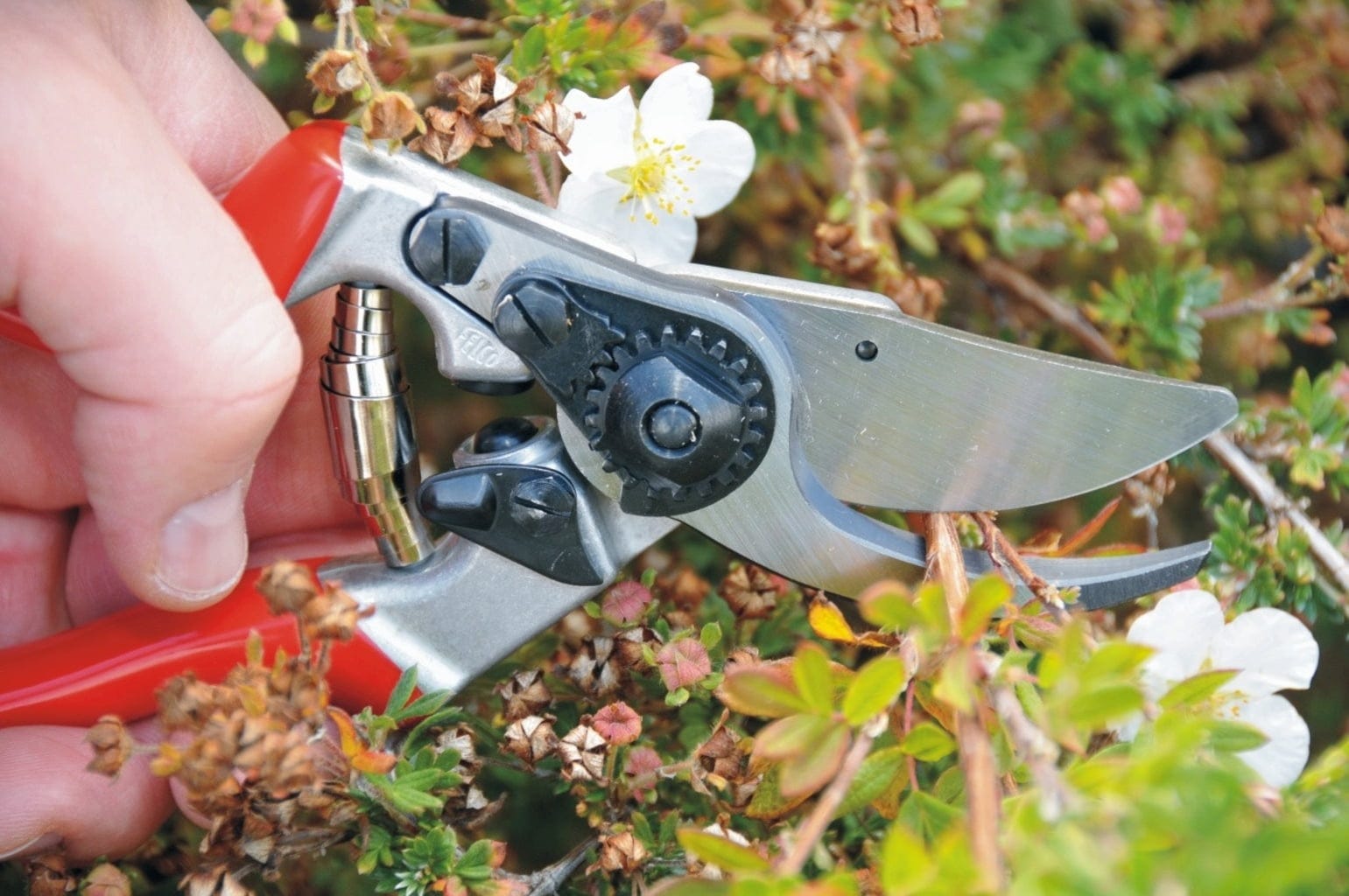  Obstbau & Gartenschere Felco 9 Für Linkshänder