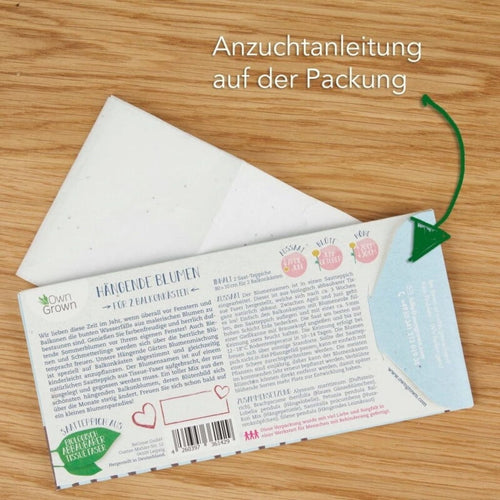  Balkonblumen Hängend - Saatgut-Teppiche
