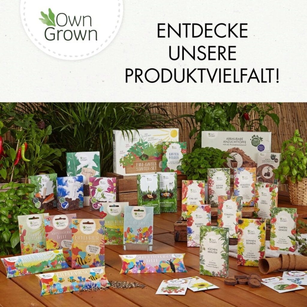  Balkonblumen Hängend - Saatgut-Teppiche