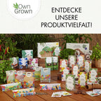 Balkonblumen Hängend - Saatgut-Teppiche