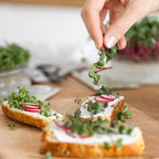  Bio Microgreens 8er Set