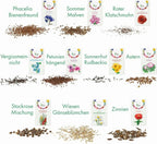  Blumen Beet 10er Set