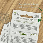  Blumen Beet 10er Set